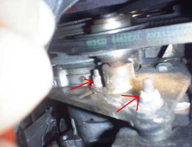 Timing Belt